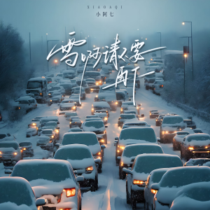 Album 雪啊请不要再下 oleh 小阿七