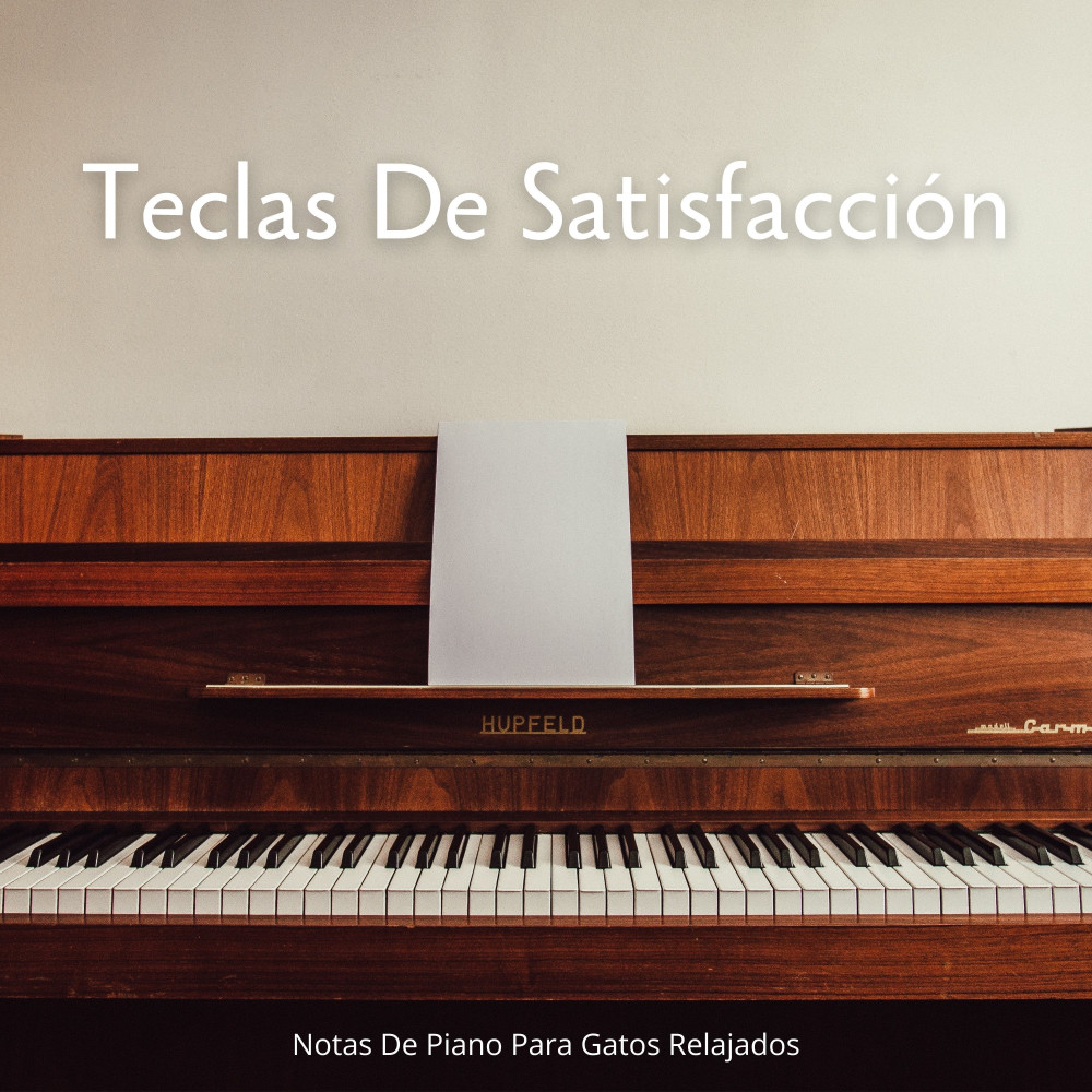 Teclas De Gato Cósmico