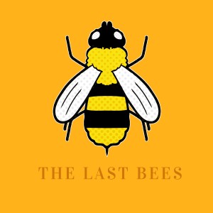 ดาวน์โหลดและฟังเพลง Can't Wait พร้อมเนื้อเพลงจาก The Last Bees