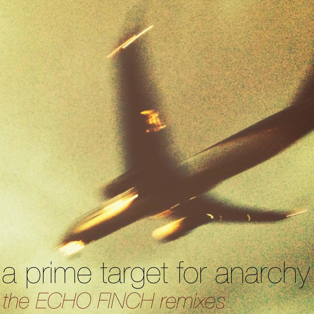 a prime target for anarchy (feat. Adam and the Flood) (ECHO FINCH Remix)