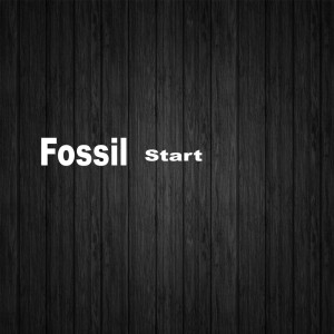 收聽Fossil的Start歌詞歌曲