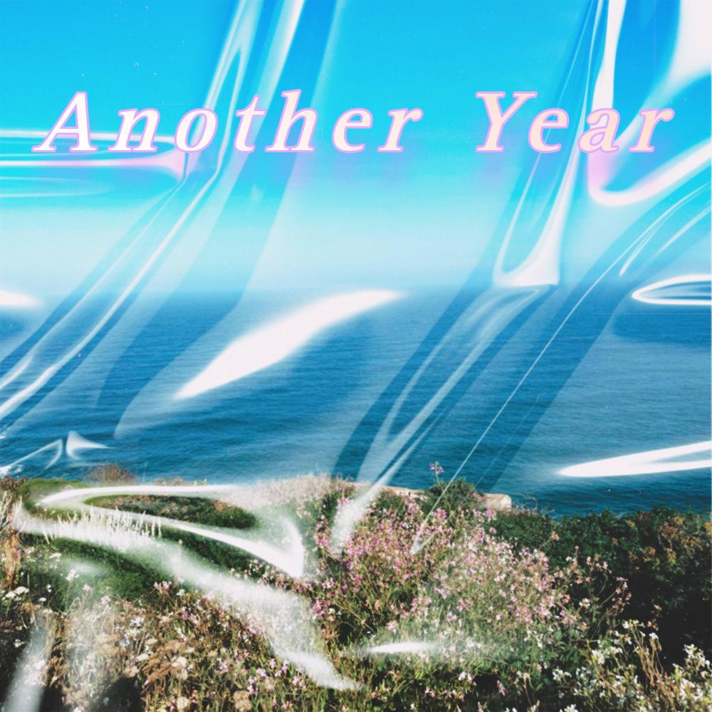 Another Year (feat. Seanybo) (Explicit)