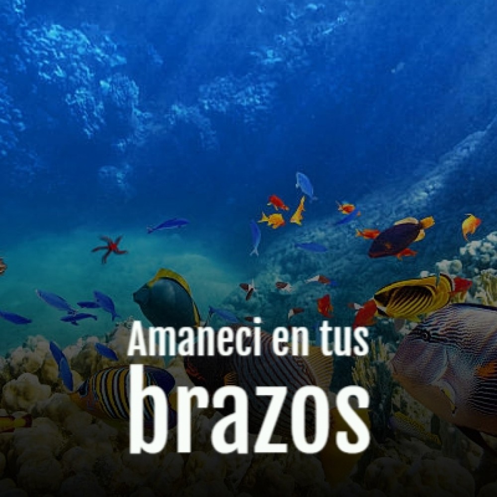 Amaneci En Tus Brazos
