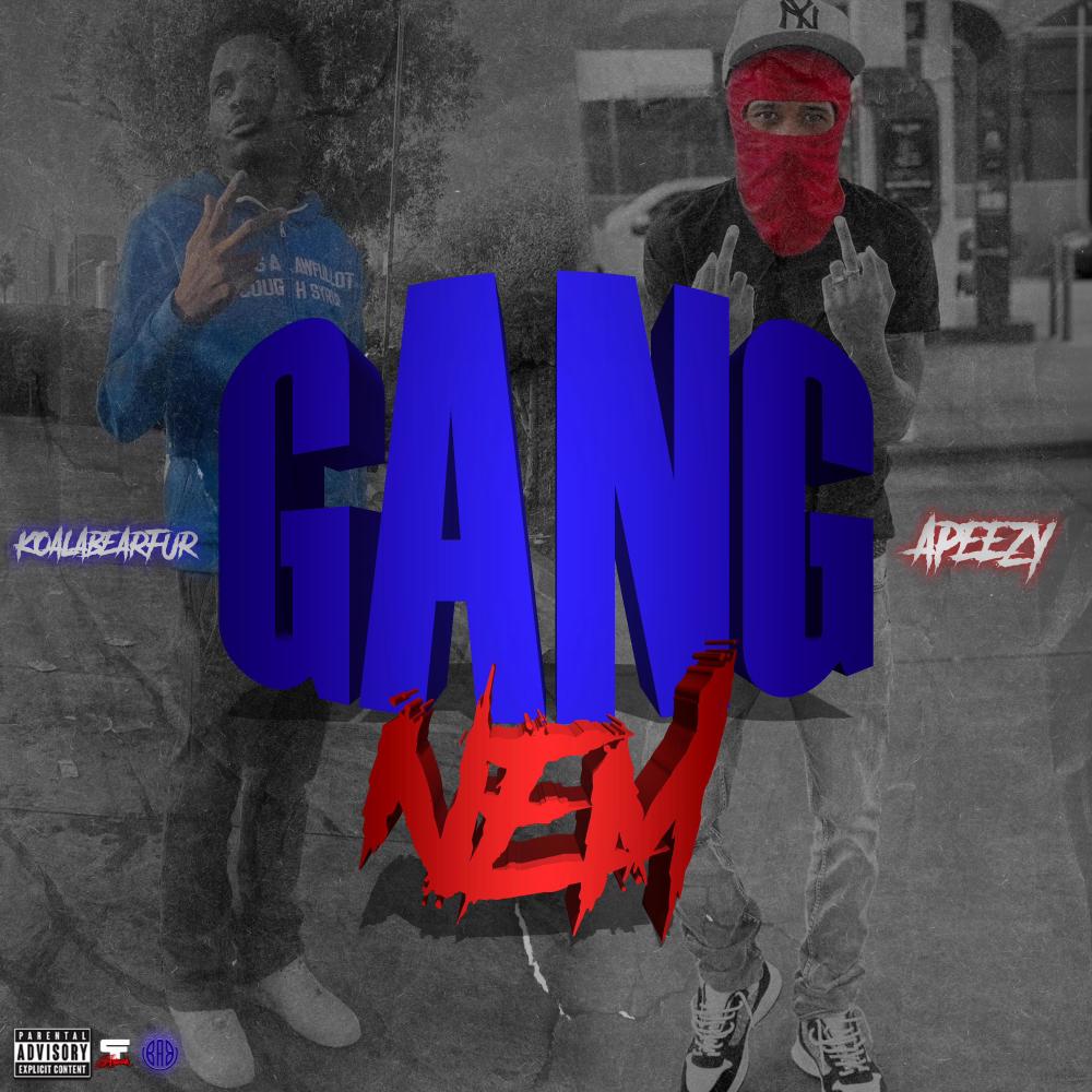 Gang Nem (feat. KoalaBearFur) (Explicit)