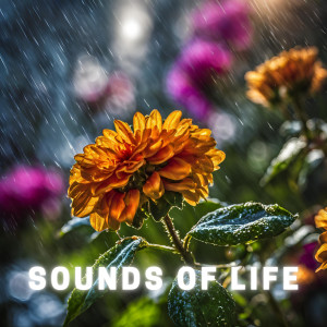 อัลบัม Sounds of Life ศิลปิน Little Circuits