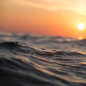 Listen to Lower (Original Mix) song with lyrics from Toxic O