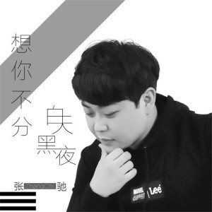 Listen to 想你不分白天黑夜 song with lyrics from 张驰