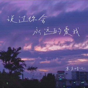 东方晴儿的专辑说过你会永远的爱我