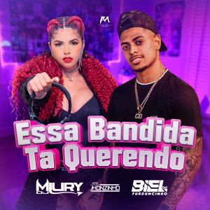 ดาวน์โหลดและฟังเพลง Essa Bandida Ta Querendo พร้อมเนื้อเพลงจาก DJ Biel do Furduncinho