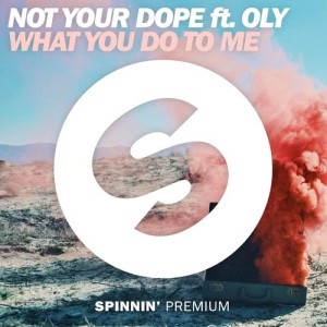 ดาวน์โหลดและฟังเพลง What You Do To Me (feat. Oly) พร้อมเนื้อเพลงจาก Not Your Dope