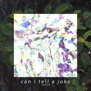 Listen to Can I Tell a Joke (Explicit) song with lyrics from Walsh