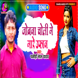 Listen to Jobana Choli Me Mare Ufan song with lyrics from Pakaudi Lal Yadav