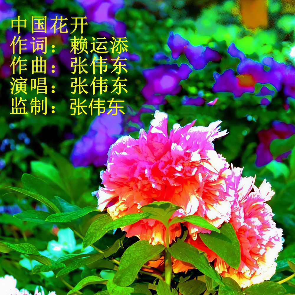 中国花开 (伴奏)