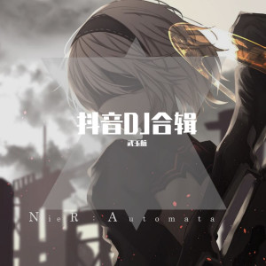 收聽武玉航的側臉 (DJ電搖版)歌詞歌曲