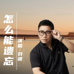 刘曦的专辑怎么能遗忘