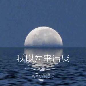 Album 我以为来得及 from WAV