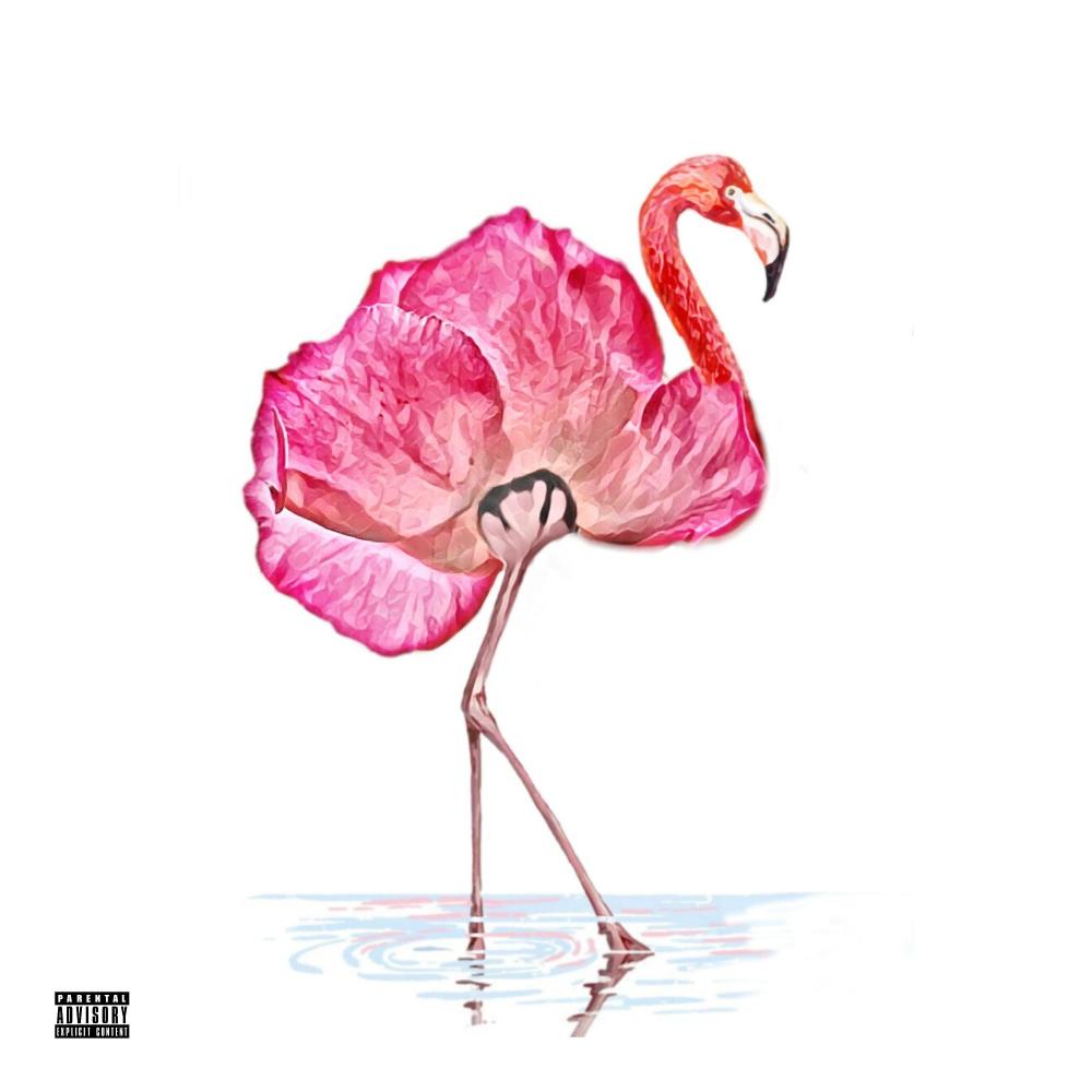 New Fashion (Explicit)