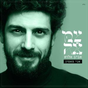 Listen to אני מאמין (מתוך פרויקט צמאה) song with lyrics from Avraham Aviv Alush