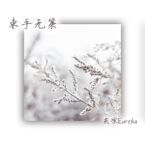 Album 束手无策 from 炎凉