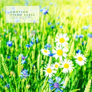 Listen to 사랑이 아니야 (Nature Ver.) song with lyrics from 멜로디즘