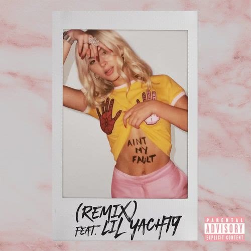 Ain't My Fault (Remix) (Explicit)