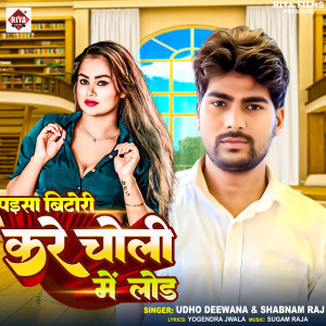 收聽Udho Deewana的Paisa Bitori Kari Choli Me Load歌詞歌曲