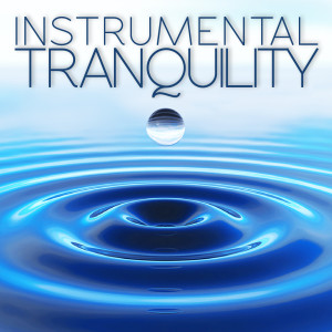 Listen to Relaxing Zen Harp song with lyrics from Zen Meditation Group
