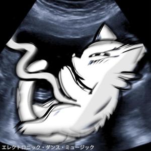 收聽KaChu的why everything/nothing matters歌詞歌曲