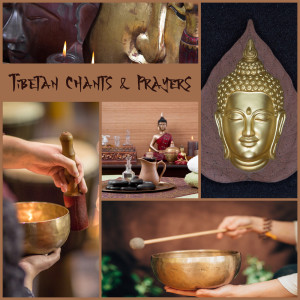 收听Shamanic Meditation Tribe的Mantra of Protection歌词歌曲