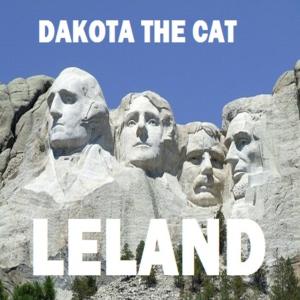 Dakota the Cat (Explicit)