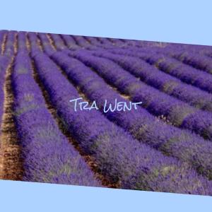 ดาวน์โหลดและฟังเพลง Wall Sparring พร้อมเนื้อเพลงจาก Ravee Carpe