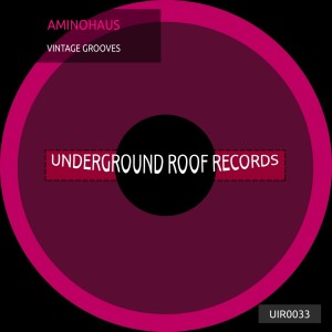 Listen to Vintage Grooves song with lyrics from Aminohaus