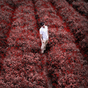 收聽MC Gege的Desamor & Desejo (Explicit)歌詞歌曲