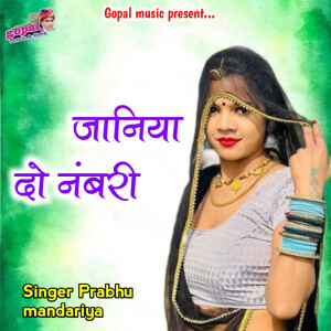 Album Janiya Do Numberi from Kalu Gurjar
