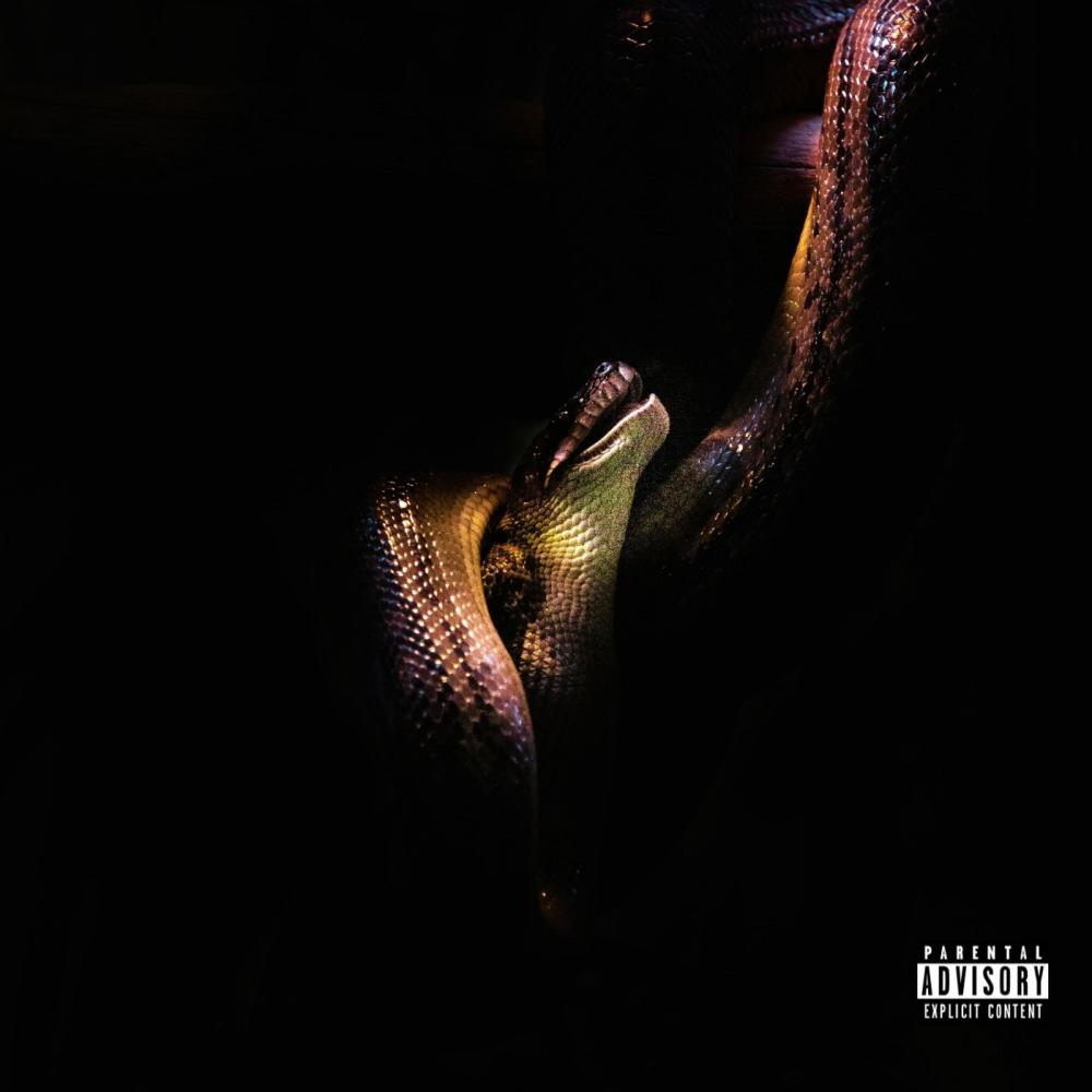 No Snakes(feat. DaZatty) (Explicit)