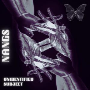 ดาวน์โหลดและฟังเพลง NANGS พร้อมเนื้อเพลงจาก Unsub