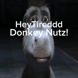 NoLxve4Tireddd的專輯Donkey Nutz! (Explicit)