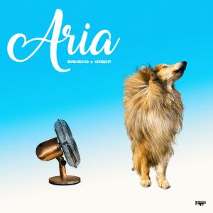 Album Aria (Explicit) from Brusco