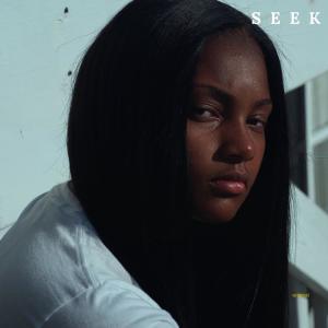 Kidd Lee的專輯Seek
