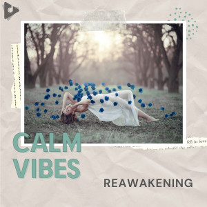 Album Reawakening oleh Calm Vibes