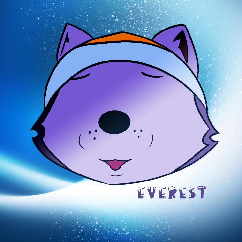 EVEREST (Explicit)