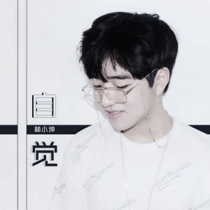 Album 自觉 from 林小坤