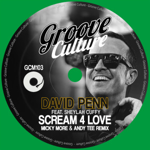Album Scream 4 Love (Micky More & Andy Tee Remix) from David Penn