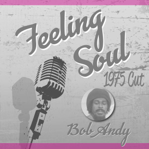 Bob Andy的專輯Feeling Soul ('75 Cut)