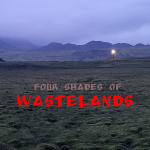 Doddi的专辑Four Shades of Wastelands
