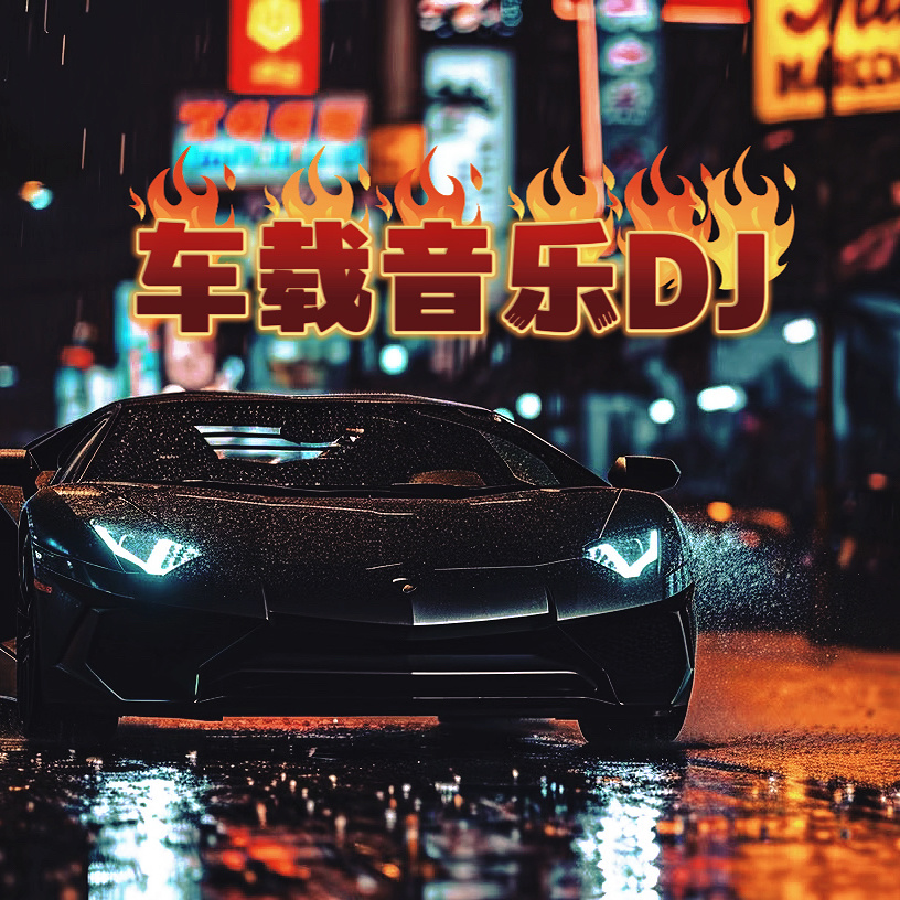后来遇见他 (dj车载版)