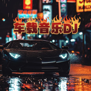 樹澤的專輯車載音樂DJ