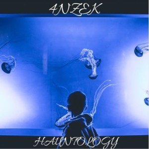 收听4nzek的Hauntology歌词歌曲