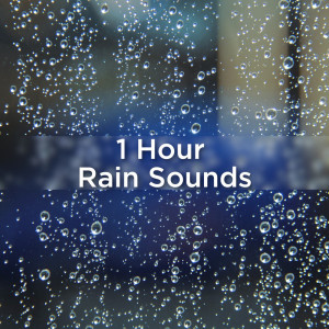 Dengarkan lagu White Noise Rain nyanyian Rain Sounds dengan lirik