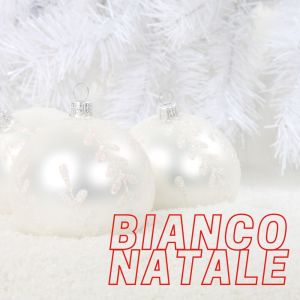 Coro Voci Bianche的专辑Bianco Natale